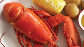 Prepare Lobster Wallpaper For Android