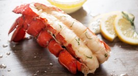 Prepare Lobster Wallpaper For Desktop