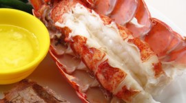 Prepare Lobster Wallpaper Free