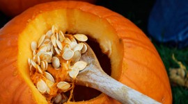 Pumpkin Seeds Photo Free