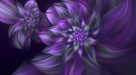 Purple Macro Wallpaper Full HD