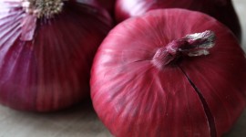 Red Onion Wallpaper Download Free