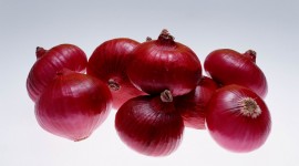 Red Onion Wallpaper For PC