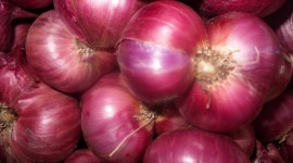Red Onion Wallpaper Free