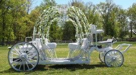 Wedding Carriage Photo