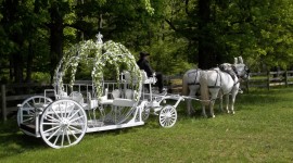 Wedding Carriage Wallpaper For PC