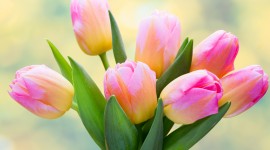 4K Spring Bouquet Wallpaper Download