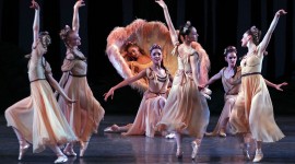 Ballet A Midsummer Night's Dream Wallpaper#3