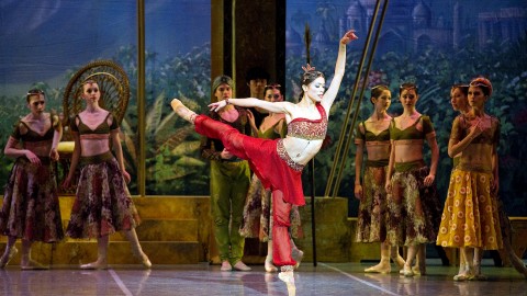 Ballet La Bayadere wallpapers high quality