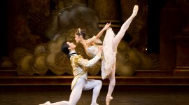 Ballet Sleeping Beauty Photo Download#1