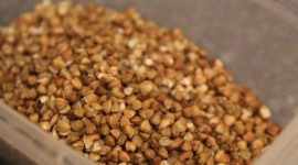 Buckwheat With Chicken High Quality Wallpaper