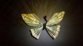 Butterfly Out Of Dollar Desktop Wallpaper