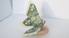Butterfly Out Of Dollar Wallpaper Free