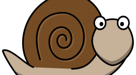 Funny Snails Picture Download
