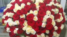 Huge Bouquets Wallpaper Free