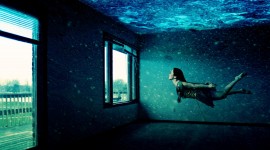 Photography Under Water Wallpaper HD