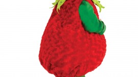 Strawberry Costume Wallpaper For Mobile#2