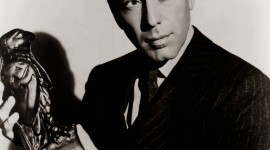 The Maltese Falcon Wallpaper For Android#1