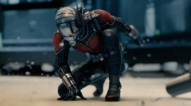 Ant-Man And The Wasp Wallpaper