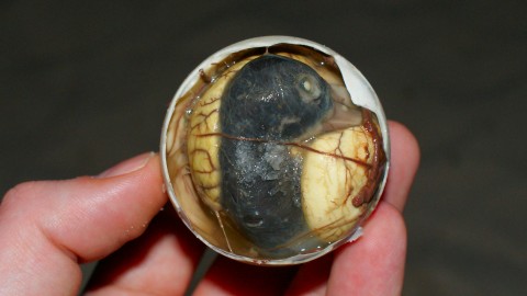 Balut Food wallpapers high quality