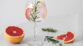 Gin And Tonic Photo Download