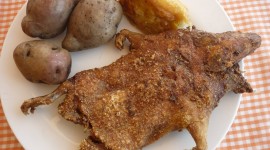 Guinea Pig Food Photo