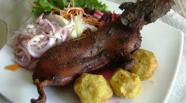 Guinea Pig Food Photo#1