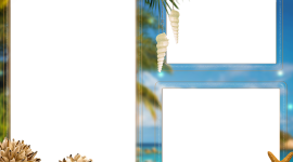 Palm Tree Frame Desktop Wallpaper