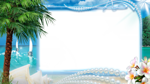 Palm Tree Frame wallpapers high quality