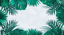 Palm Tree Frame Wallpaper Free