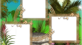 Palm Tree Frame Wallpaper Full HD