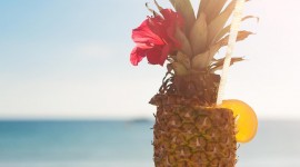 Pineapple Cocktails Wallpaper For Android#2