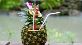 Pineapple Cocktails Wallpaper Gallery