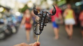 Scorpions Food Photo