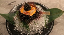 Sea Urchin Caviar Wallpaper For PC
