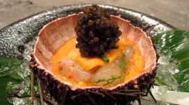 Sea Urchin Caviar Wallpaper Free