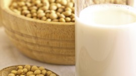 Soy Milk Wallpaper For IPhone Free