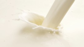 Soy Milk Wallpaper High Definition