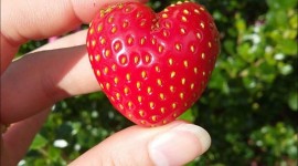 Strawberry Heart Wallpaper For Mobile#1