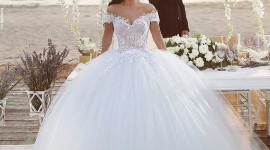 Ball Gowns Photo