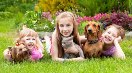 Children And Animals Wallpaper For PC