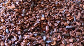 Cocoa Beans Wallpaper Gallery