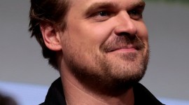 David Harbour Wallpaper For Android