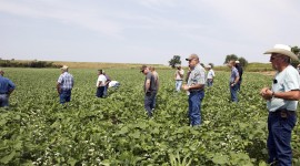 Farmers Photo Download