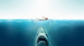 Jaws Best Wallpaper