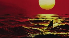 Jaws Wallpaper For PC