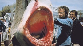 Jaws Wallpaper Gallery