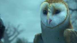 Legend Of The Guardians Photo Free