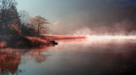 Morning By The Lake Wallpaper Full HD