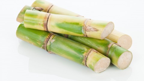 Sugarcane wallpapers high quality